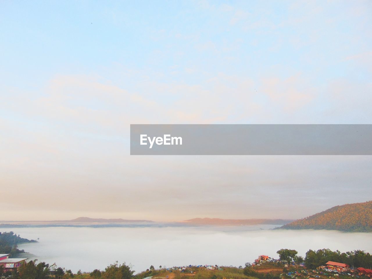 SCENIC VIEW OF TREE AGAINST SKY