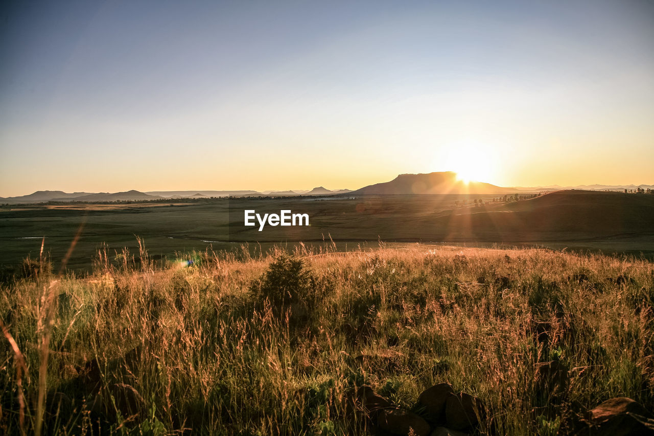 Scenic view of field against sky during sunset