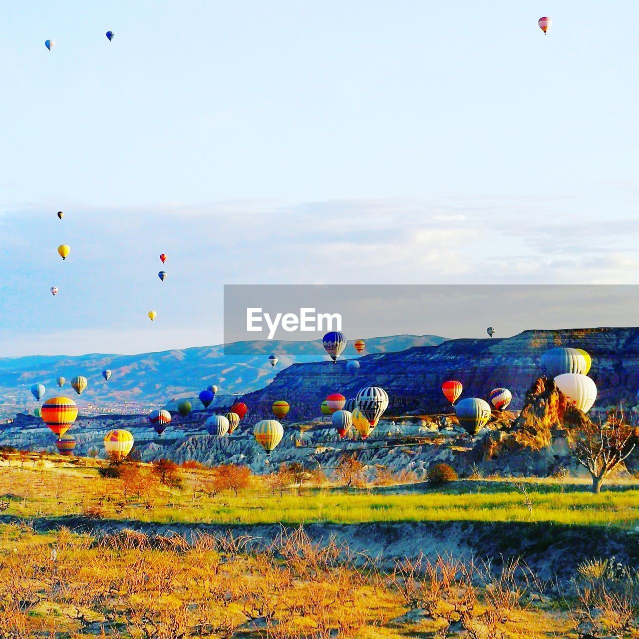 View of hot air balloons on field against sky