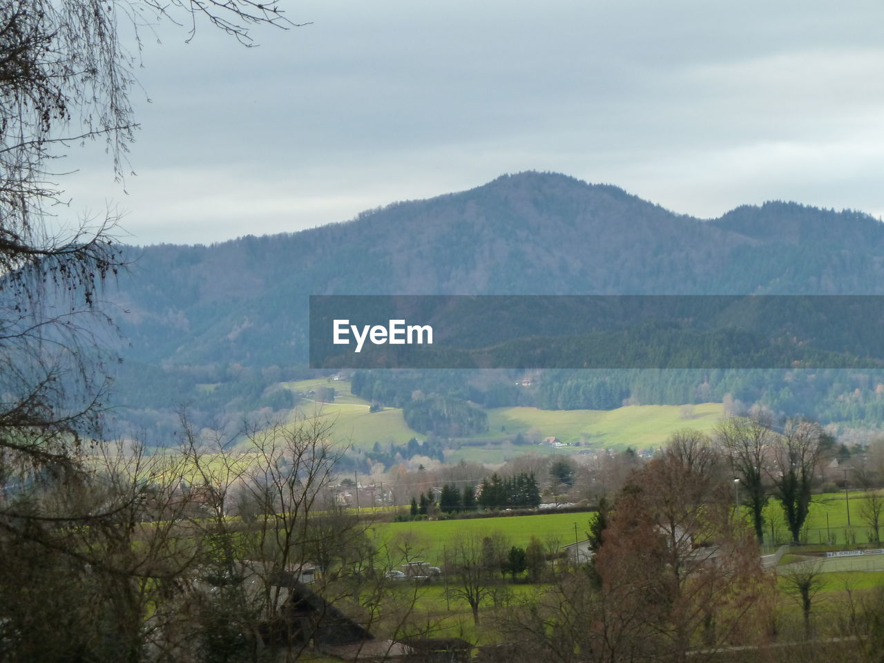 SCENIC VIEW OF TREES AND MOUNTAINS AGAINST SKY