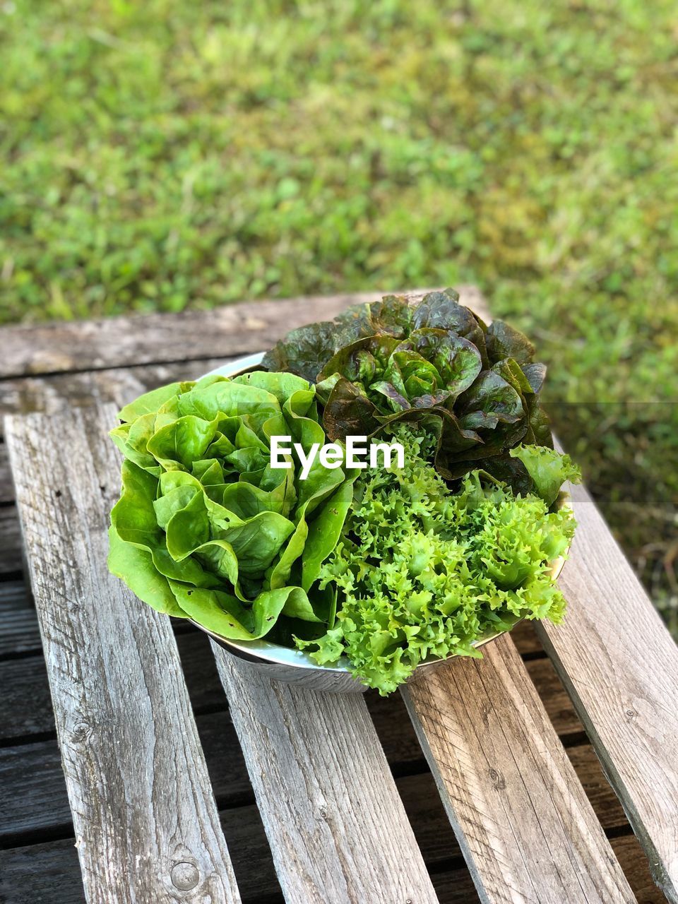 HIGH ANGLE VIEW OF VEGETABLES ON TABLE AGAINST PLANTS