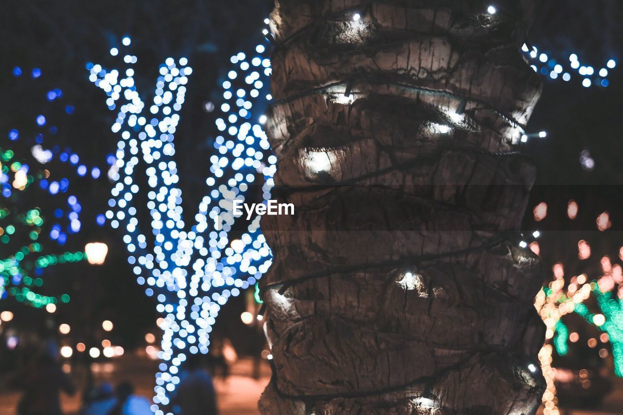 LOW ANGLE VIEW OF ILLUMINATED CHRISTMAS TREE AGAINST SKY