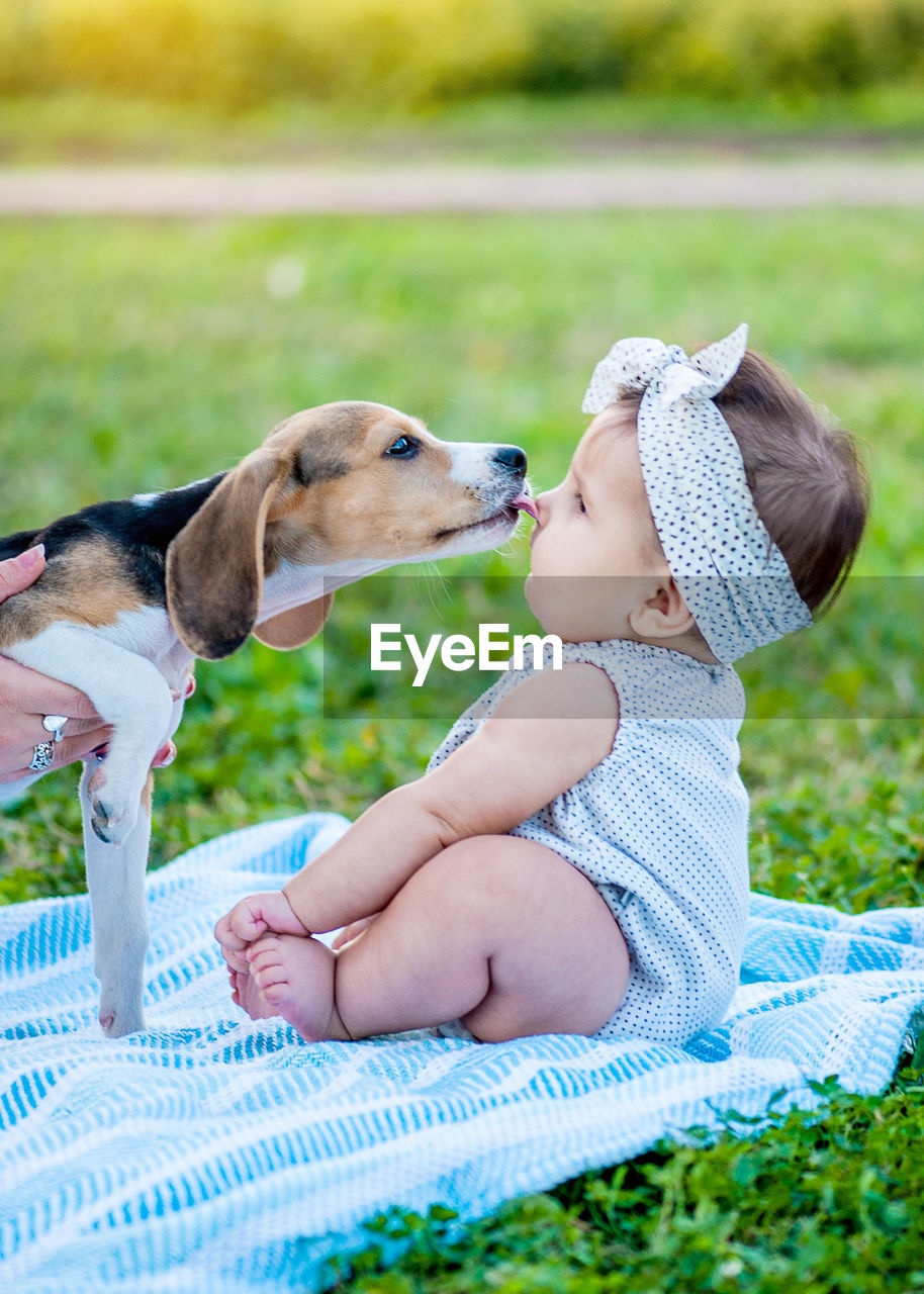 HIGH ANGLE VIEW OF PUPPY SITTING ON GRASS