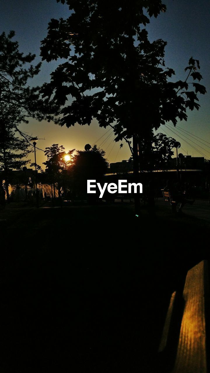 SILHOUETTE OF TREES AT SUNSET