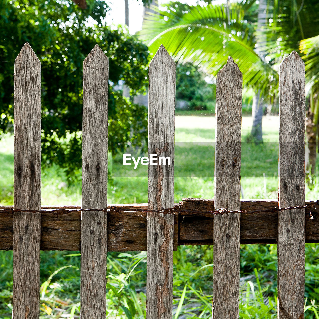 CLOSE-UP OF FENCE IN FIELD