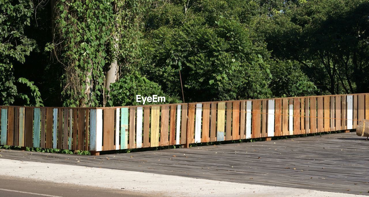 Wooden fence by trees