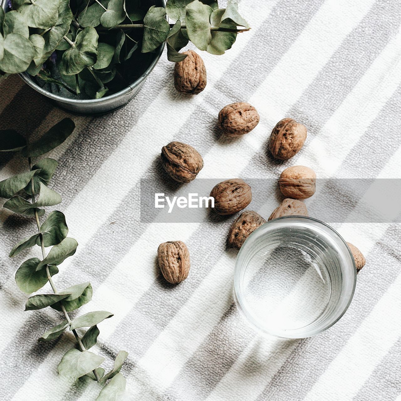High angle view of walnuts with water glass on table