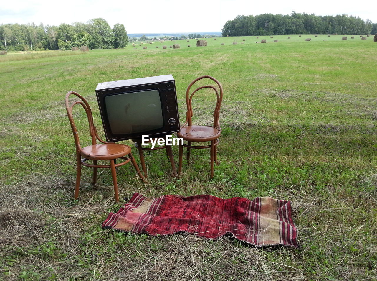 CHAIRS ON FIELD AGAINST GREEN GRASS