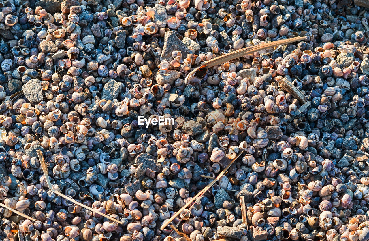 CLOSE-UP OF PEBBLES ON BEACH