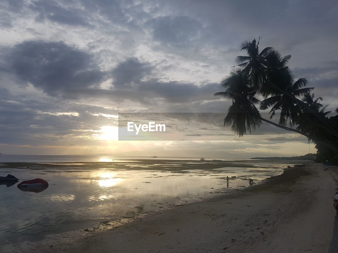 SCENIC VIEW OF BEACH DURING SUNSET