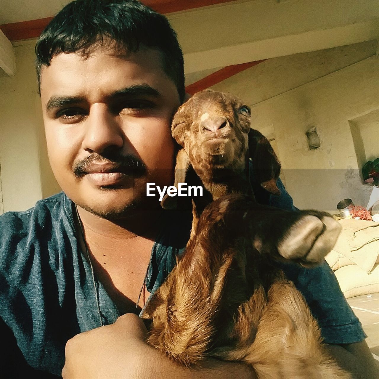 Close-up of man holding kid goat against wall