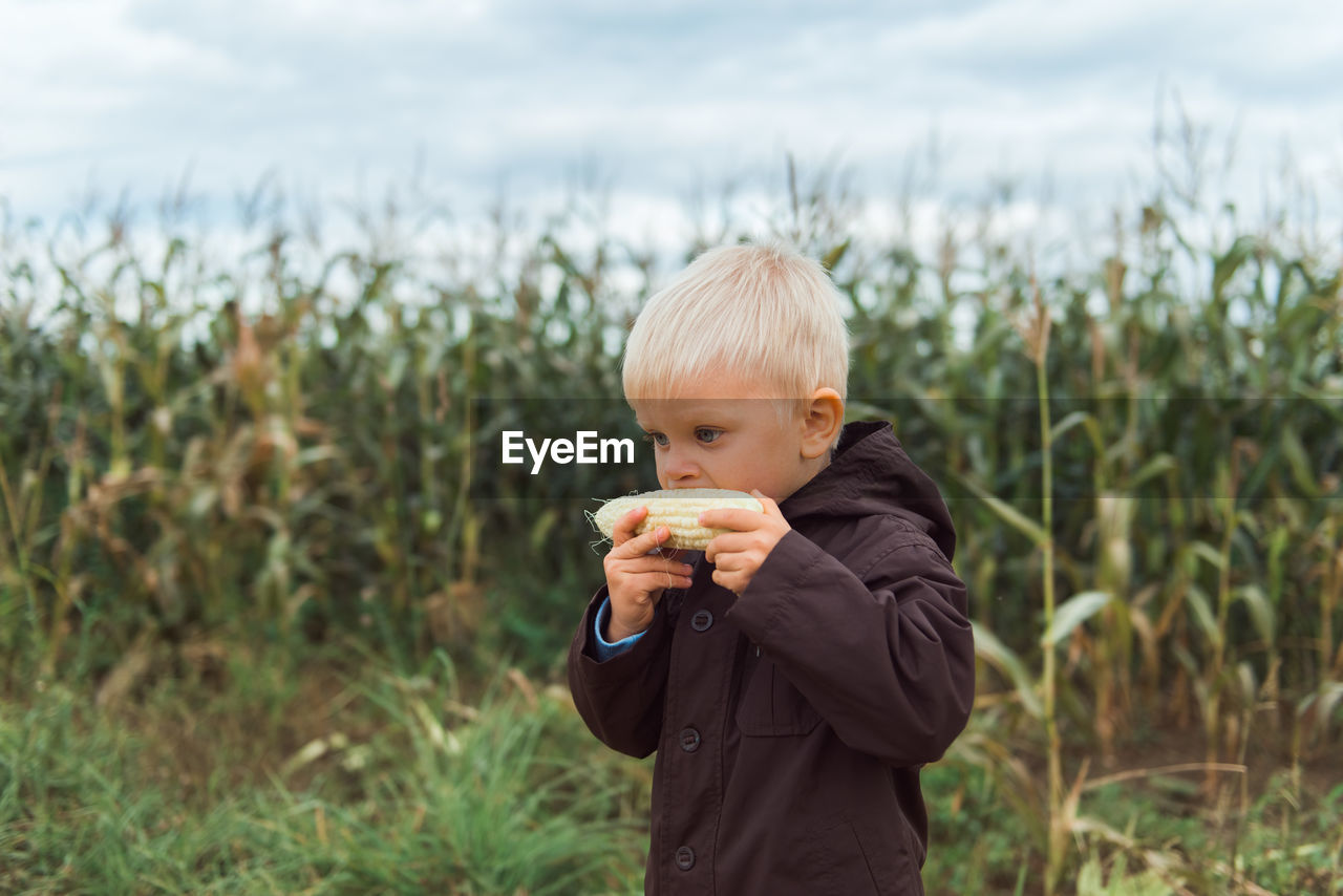 Child in corn field leaves dark colors eating corncob