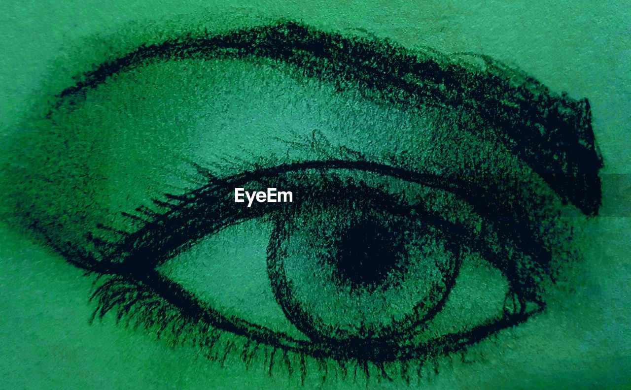 CLOSE-UP OF GREEN EYE