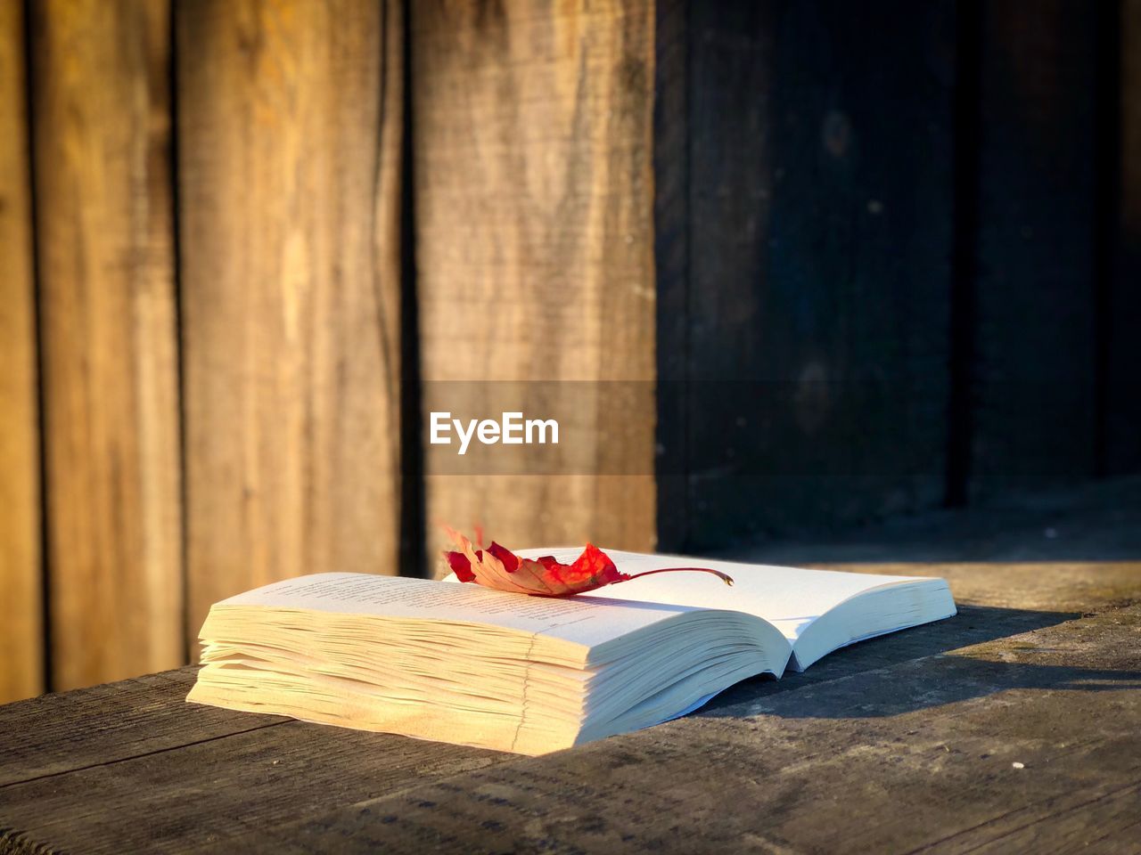 Red maple leaf on a book placed on a wooden table