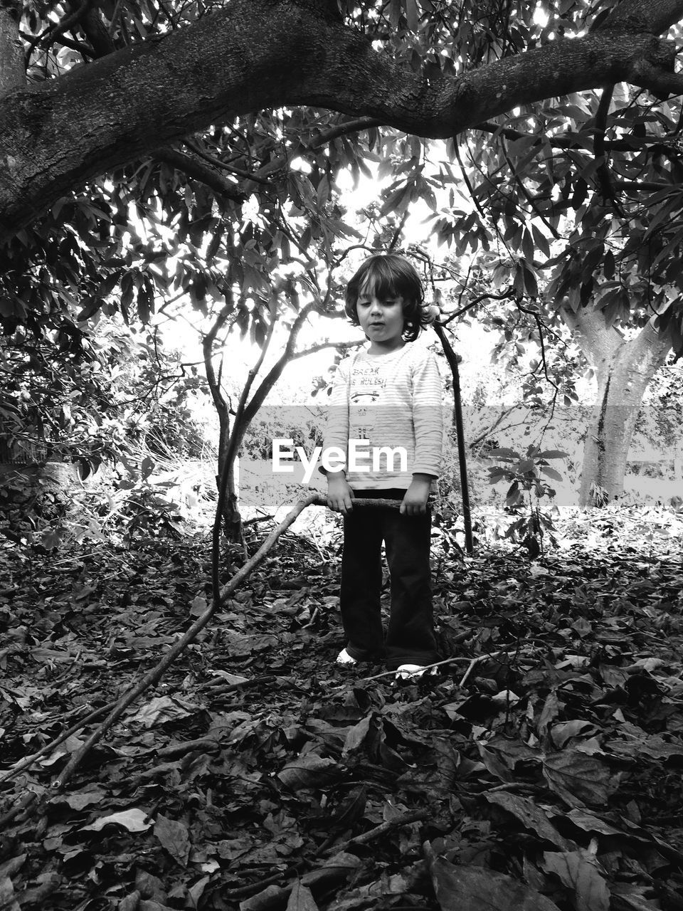 PORTRAIT OF GIRL STANDING ON TREE