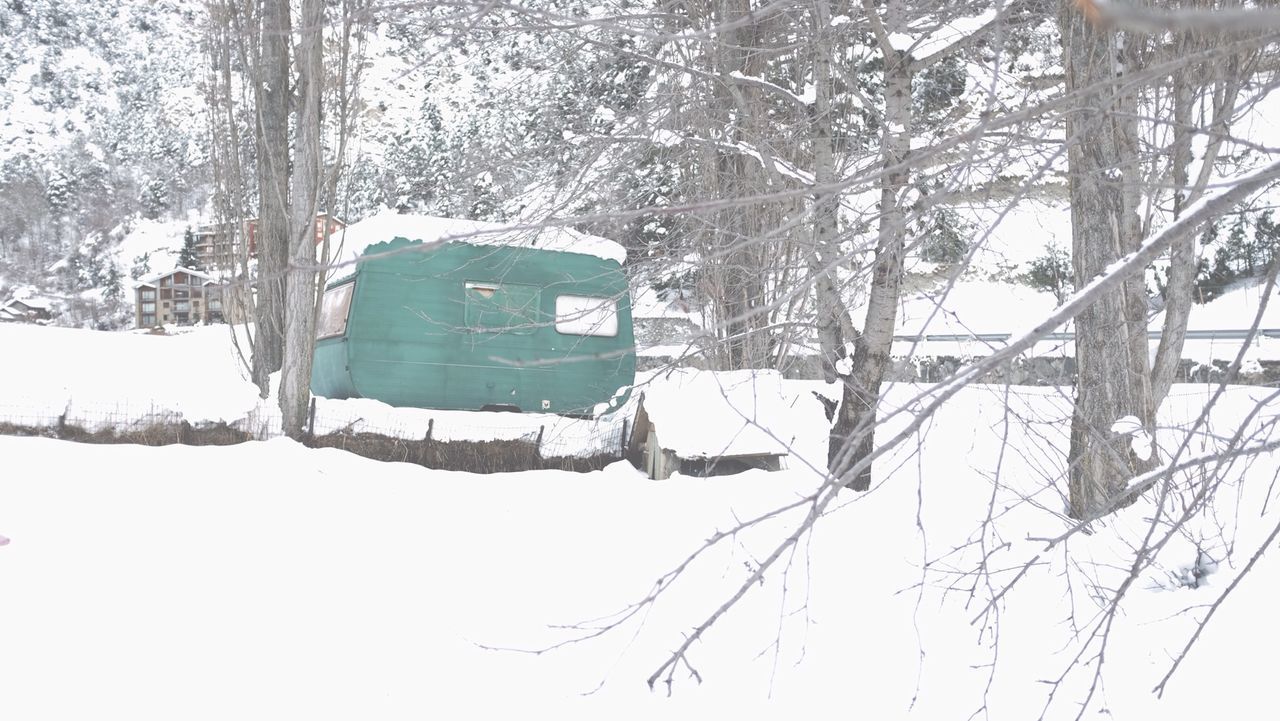 Green caravan by bare trees on snowy field