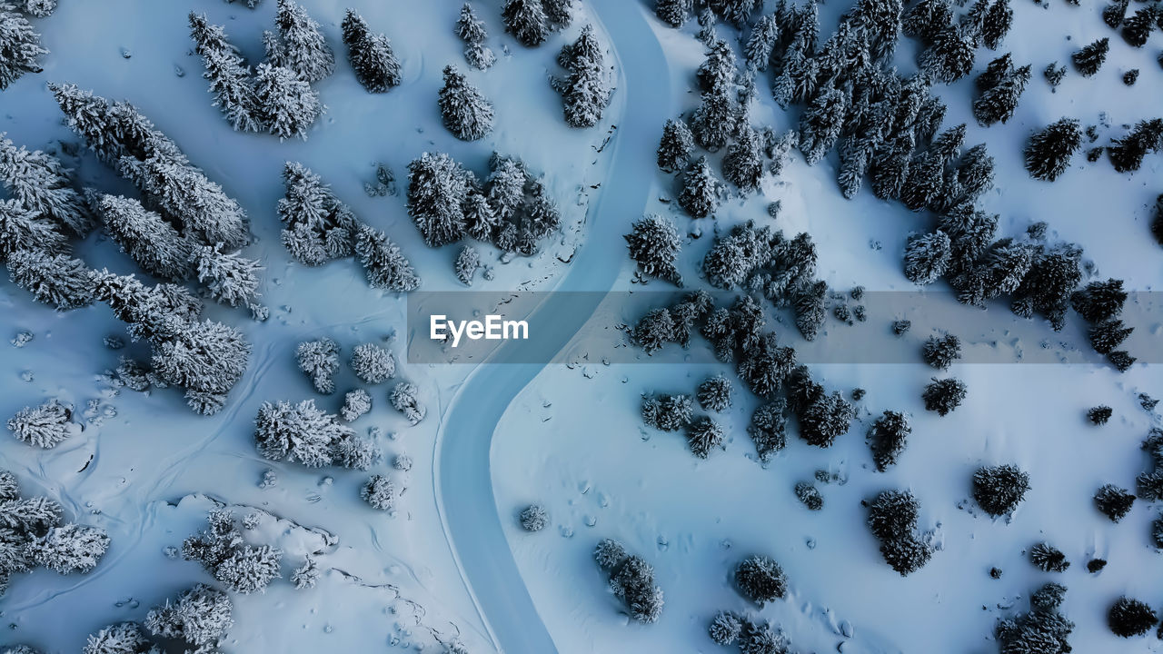 High angle view of snow covered trees on field