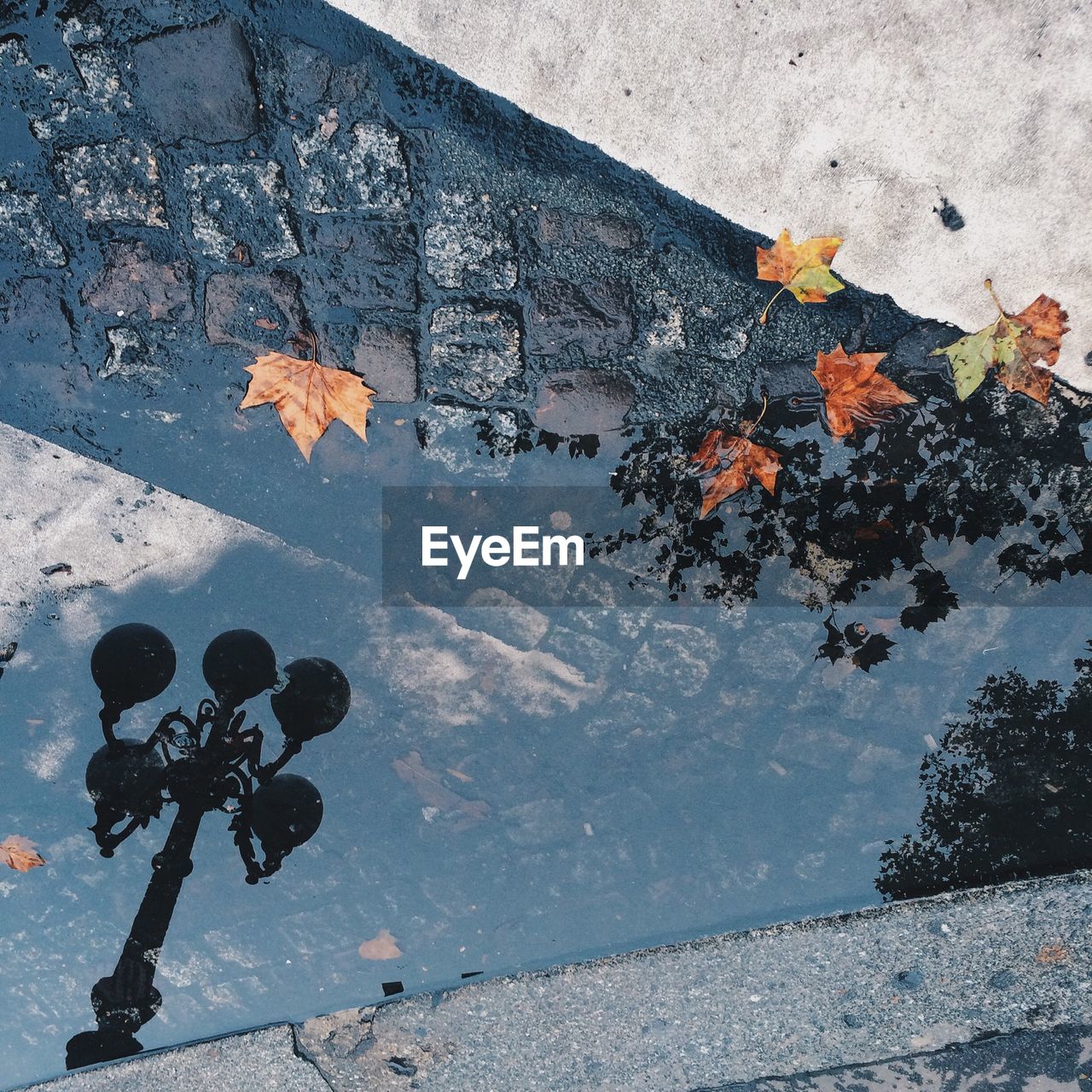 Refection of street light and clear sky on puddle