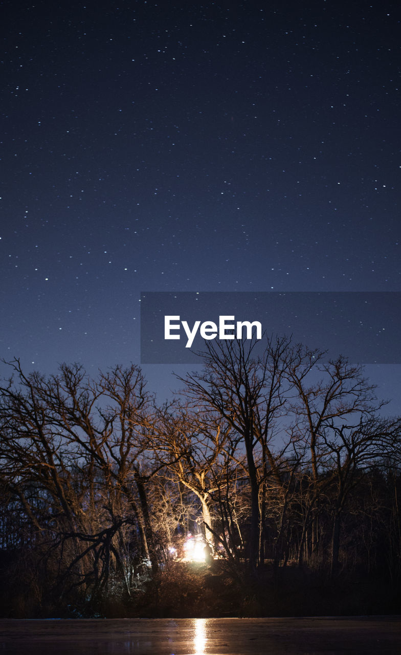 Scenic view of trees against sky at night