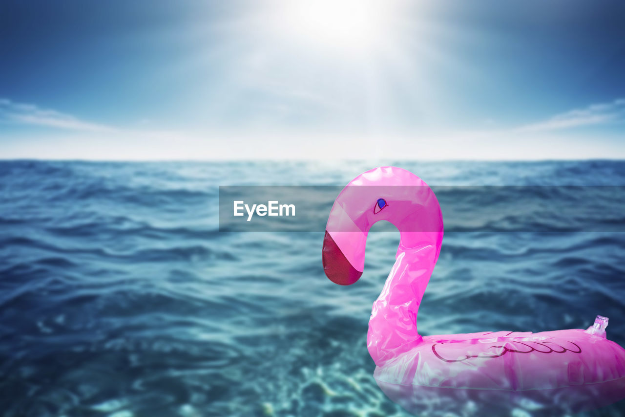 water, pink, sea, sky, water bird, bird, nature, swimming, horizon over water, horizon, flamingo, sunlight, beauty in nature, day, blue, outdoors, ocean, no people, rippled, animal, floating, floating on water, inflatable, tranquility, wave