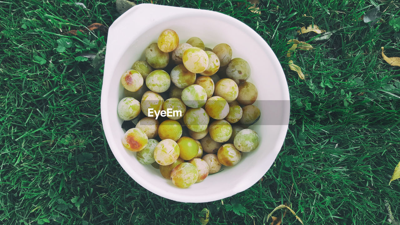 High angle view of grapes in bowl on grassy field