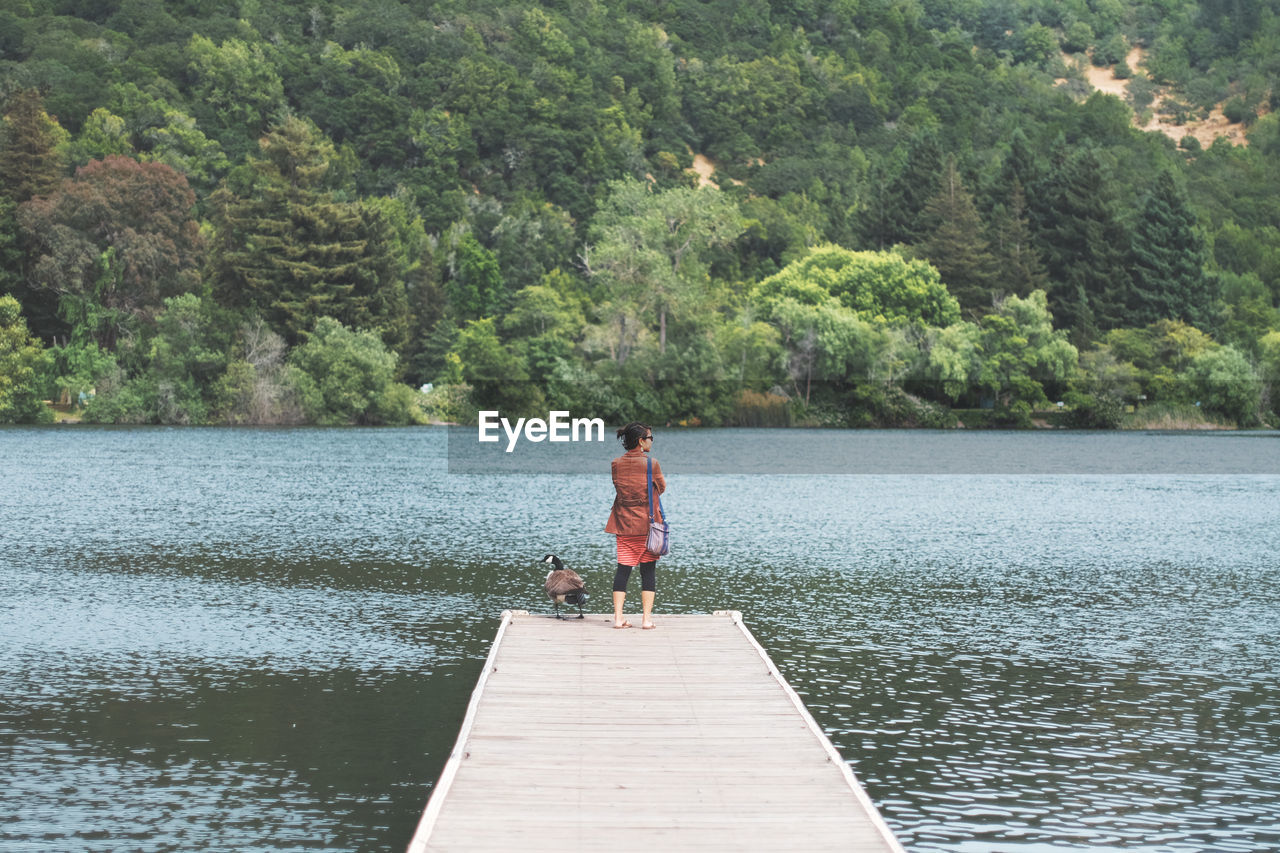 Full length rear view of woman standing by goose on jetty over lake