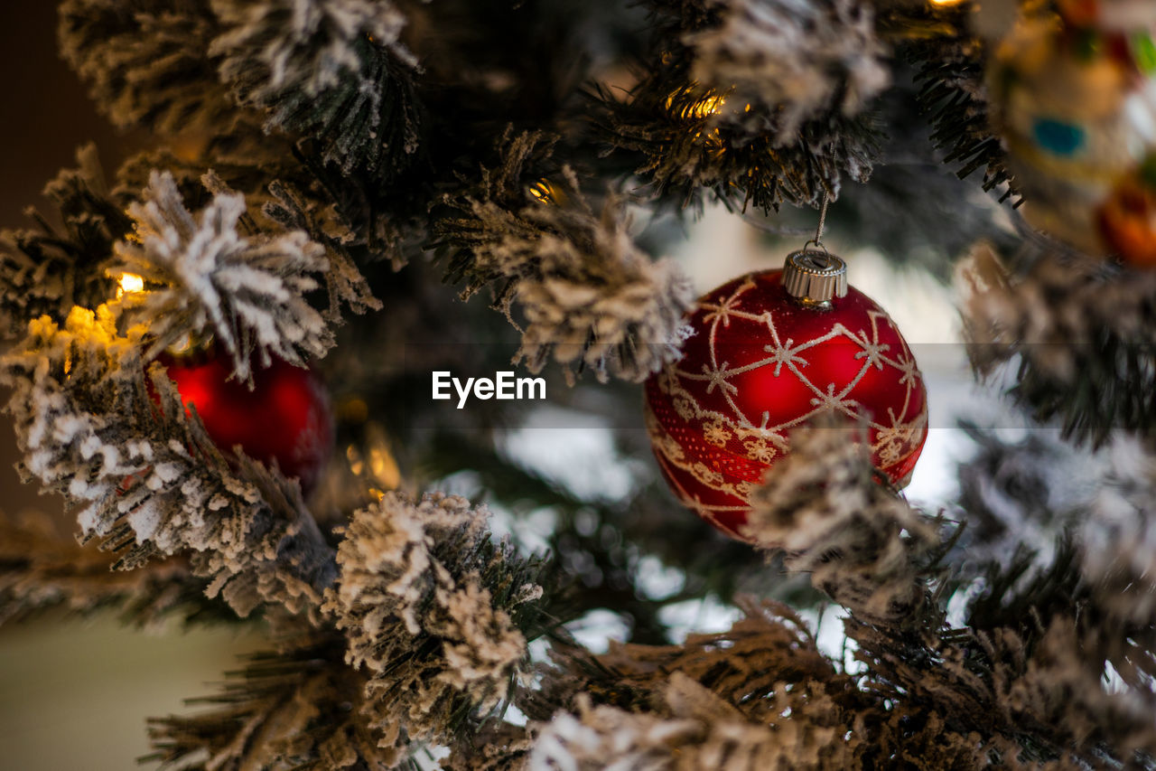 close-up of christmas decorations hanging on tree