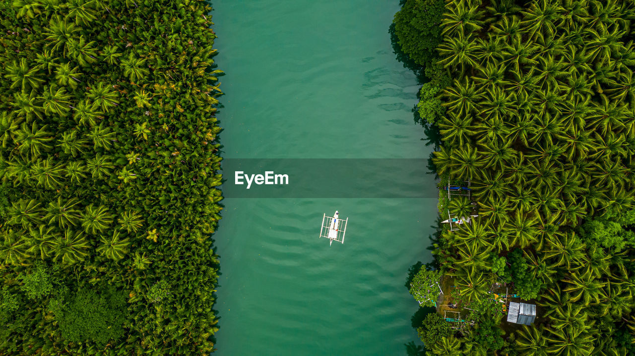HIGH ANGLE VIEW OF PLANT FLOATING ON LAKE