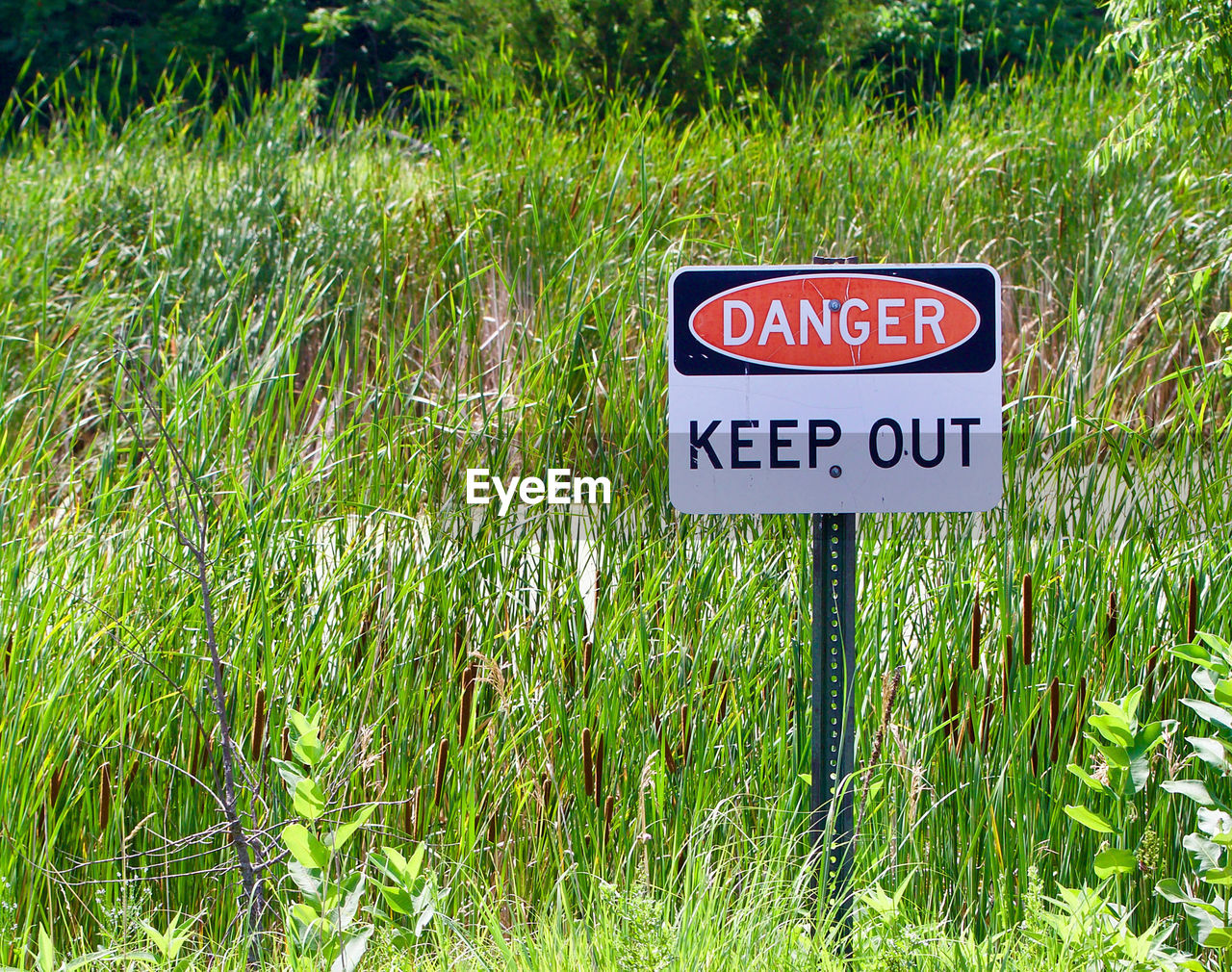 ROAD SIGNS ON FIELD