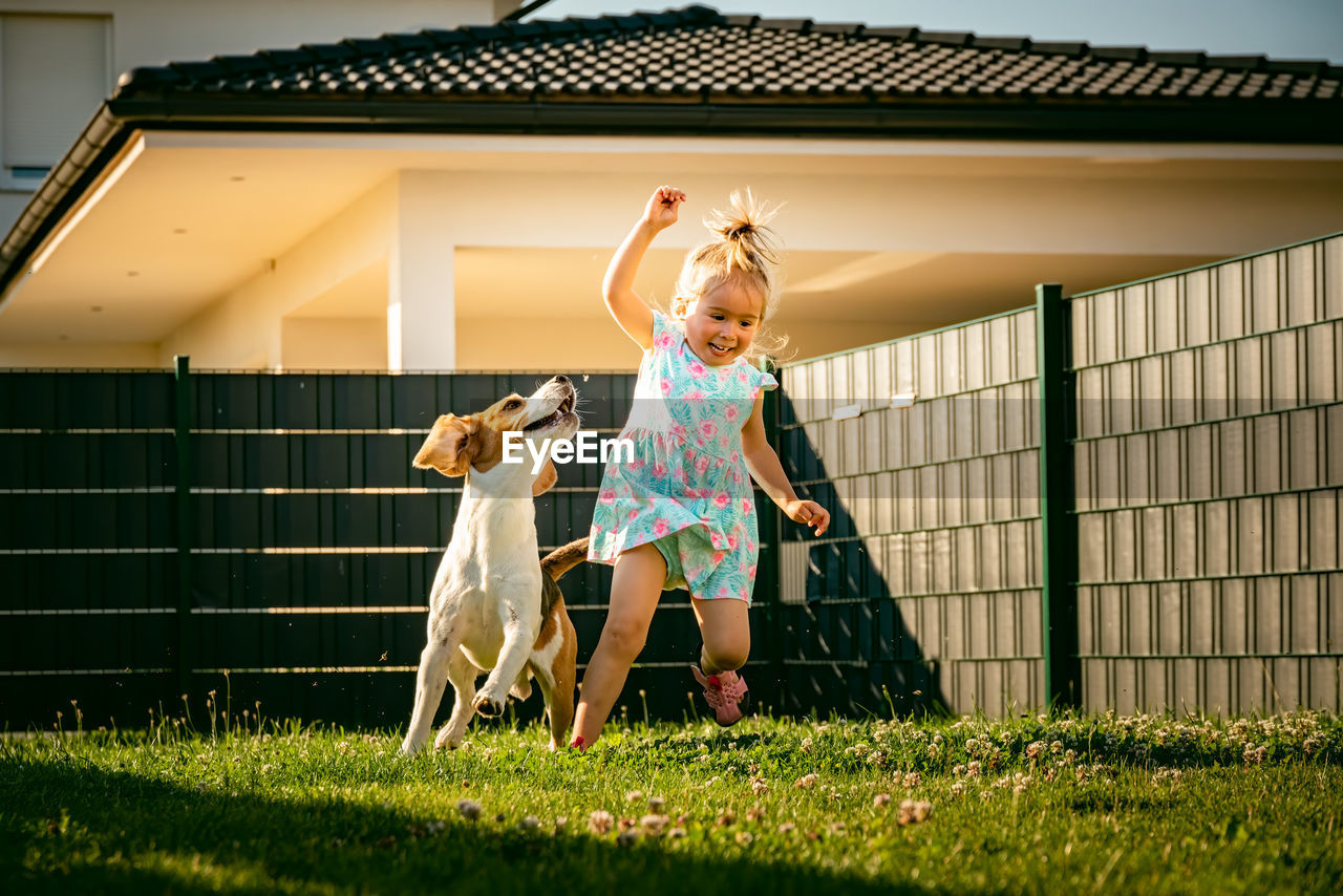 Baby girl running with beagle dog in backyard in summer day. domestic animal with children concept.