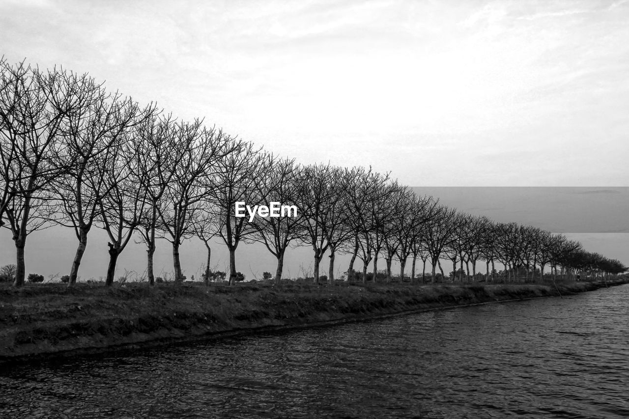BARE TREES ON FIELD BY WATER AGAINST SKY
