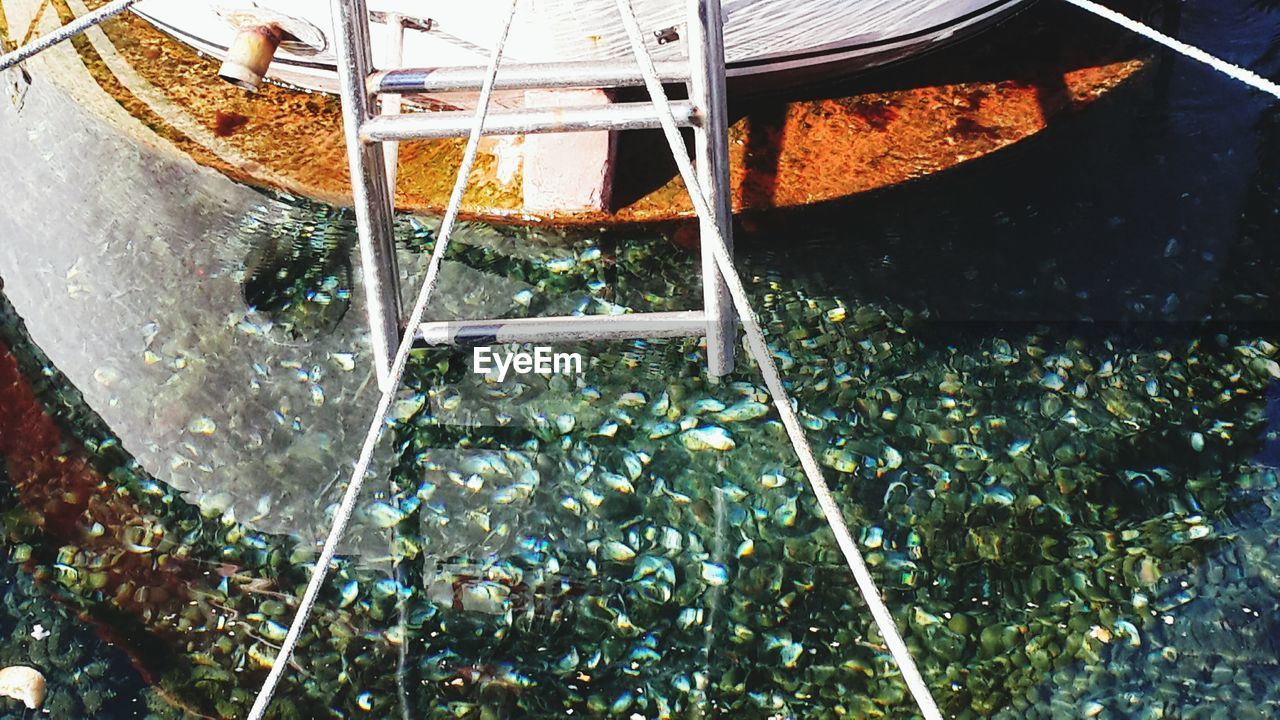 HIGH ANGLE VIEW OF WATER IN PARK