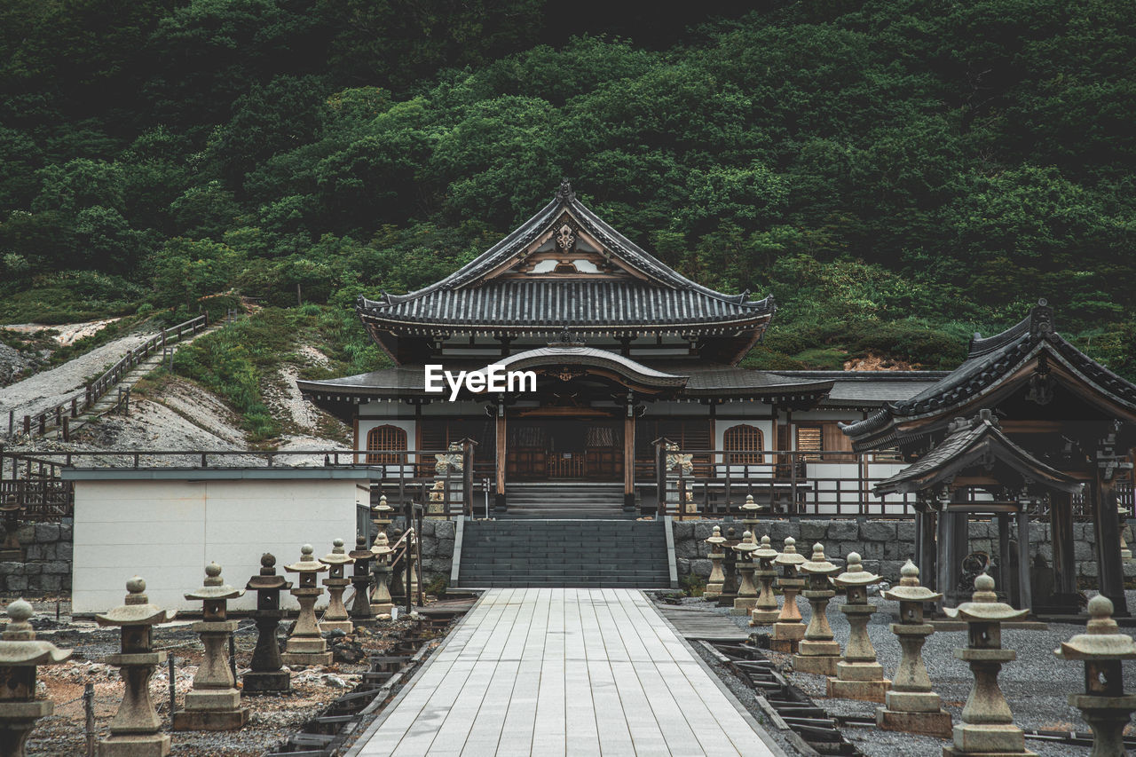 architecture, built structure, temple, tree, plant, religion, shrine, belief, building exterior, place of worship, spirituality, building, nature, temple - building, travel destinations, day, no people, travel, outdoors, history, the past, tourism, the way forward, tradition, chinese architecture