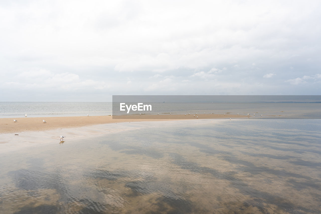 SCENIC VIEW OF SANDY BEACH AGAINST SKY