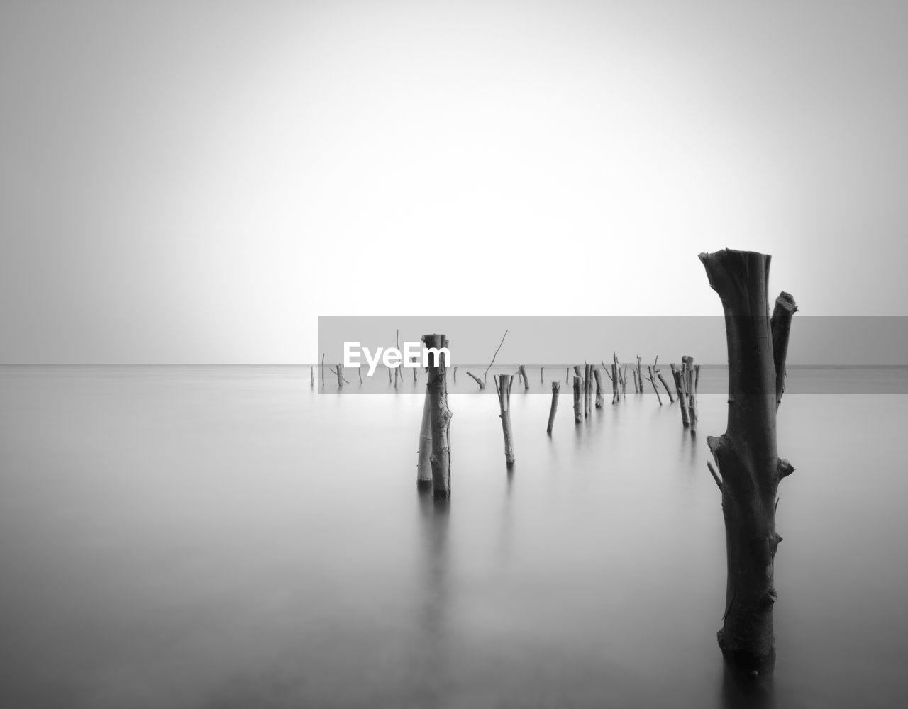 Wooden posts in sea against clear sky