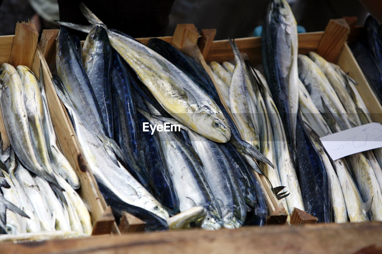 High angle view of fishes in crates for sale at market