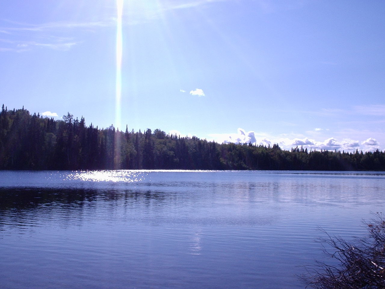 SCENIC VIEW OF LAKE BY FOREST AGAINST SKY