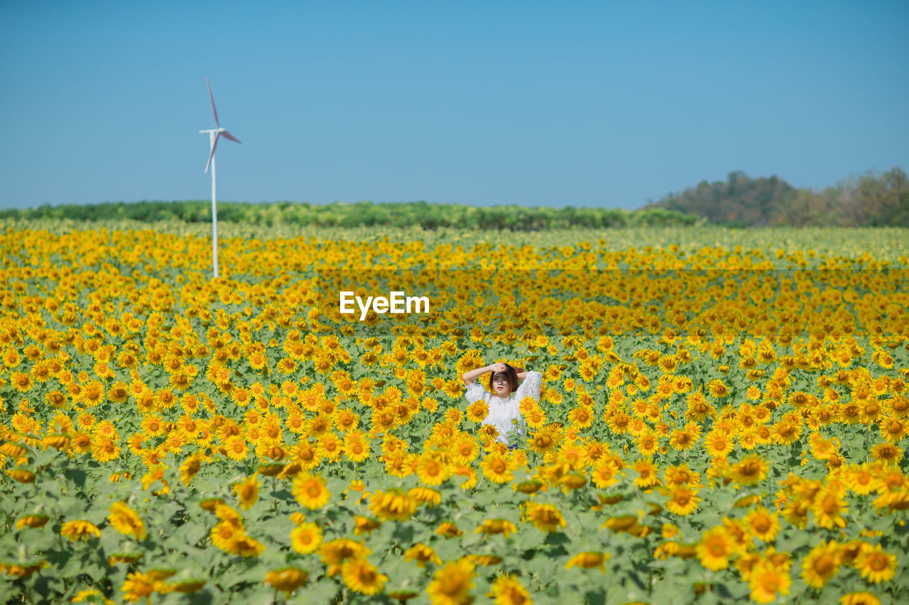 Woman standing amidst sunflowers against clear blue sky