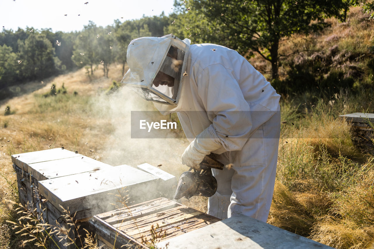 Anonymous beekeeper in protective gloves fumigating beehive with smoker while working on apiary in sunny day