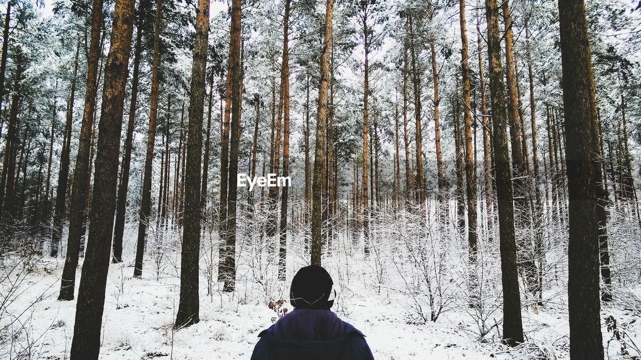 Rear view of person standing in snow covered forest