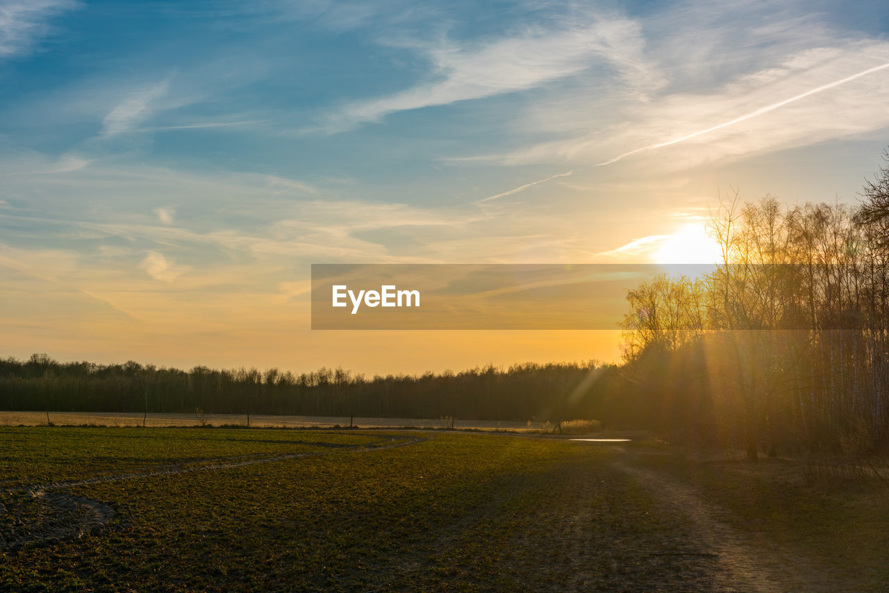 Scenic view of field against sky during sunset