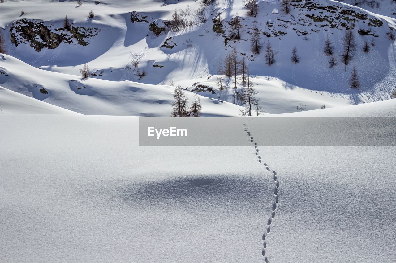 Scenic view of snow covered land