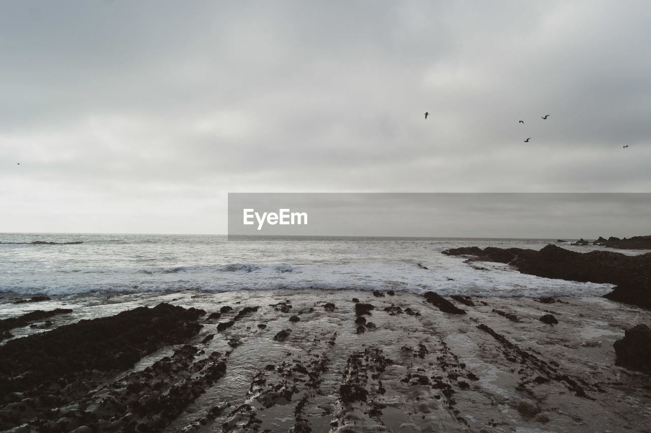 VIEW OF BIRDS FLYING OVER BEACH AGAINST SKY