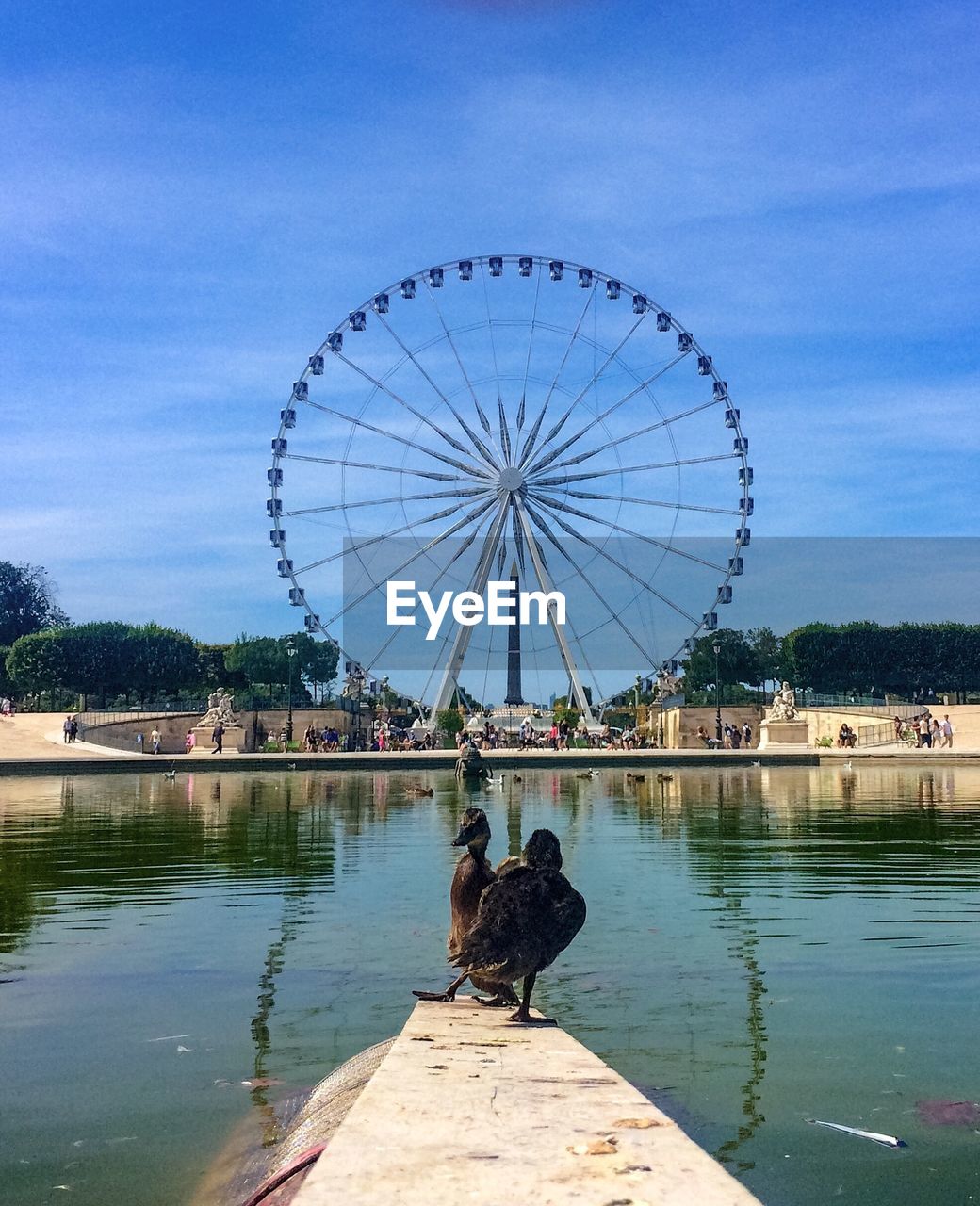 Ferris wheel by lake against sky