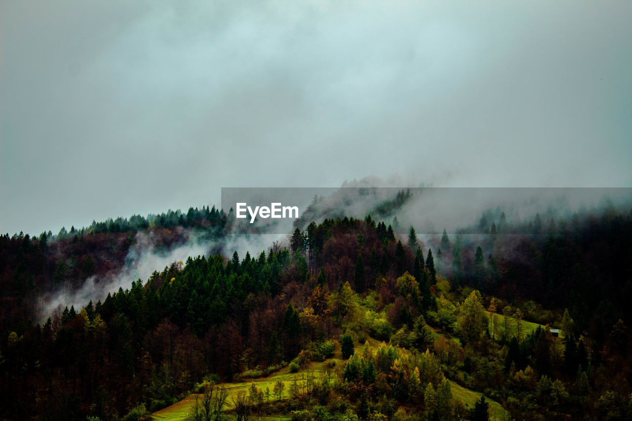 Panoramic view of trees and mountains againts clouds