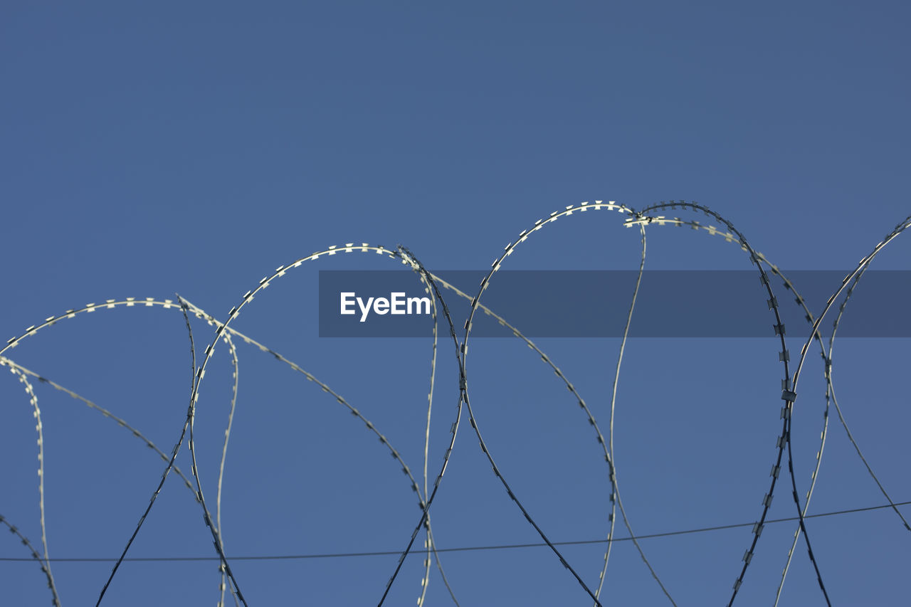 Barbed wire rings on fence. protected area. steel wire protection.