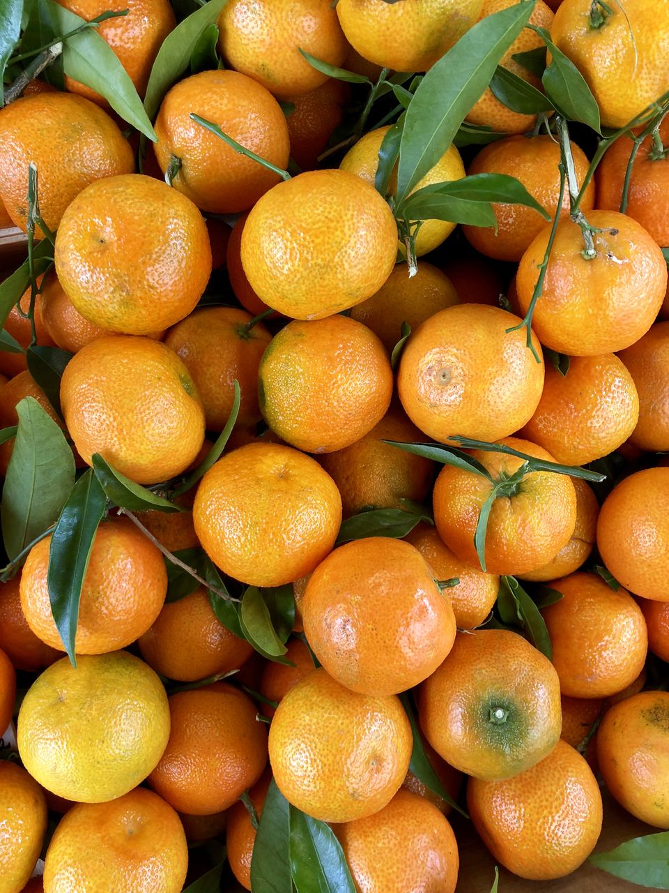 FULL FRAME SHOT OF ORANGES