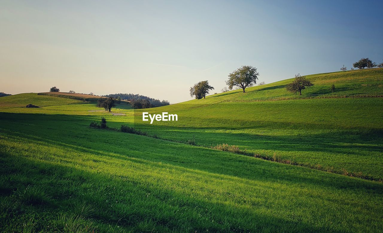 SCENIC VIEW OF FARMS AGAINST SKY