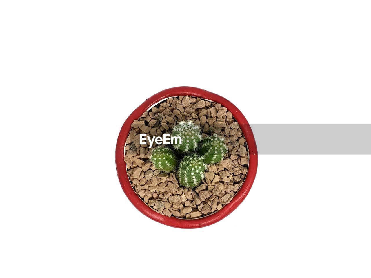 HIGH ANGLE VIEW OF FOOD IN BOWL AGAINST WHITE BACKGROUND