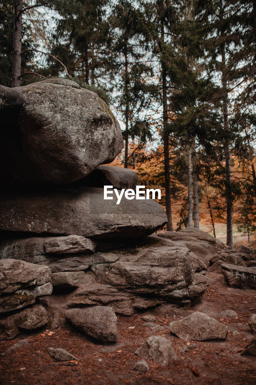 Stack of stones in forest